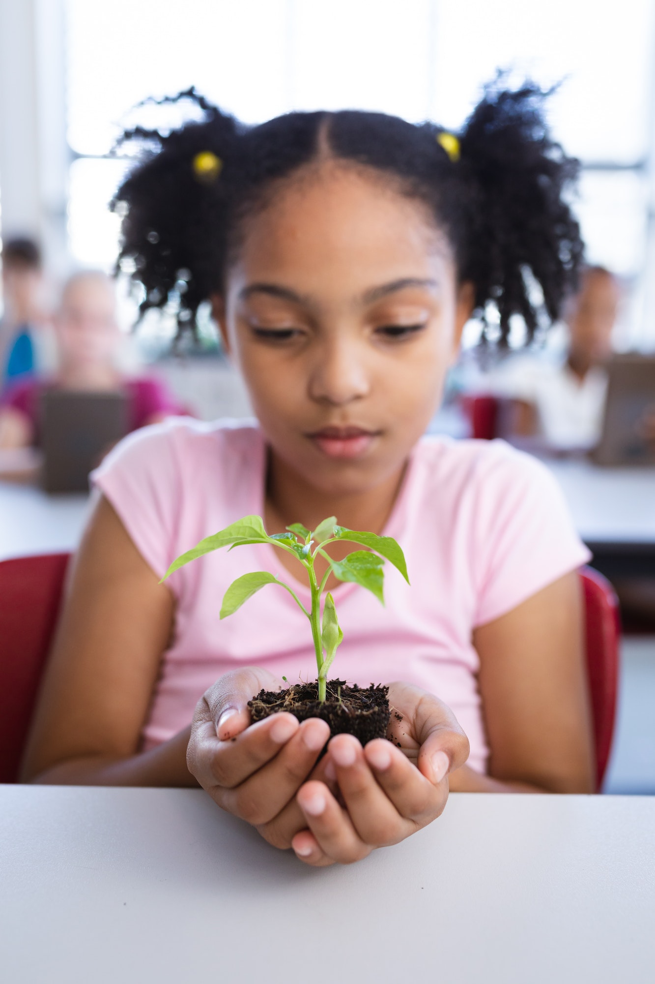 African american girl holding a plant seedling while sitting on her desk in class at school